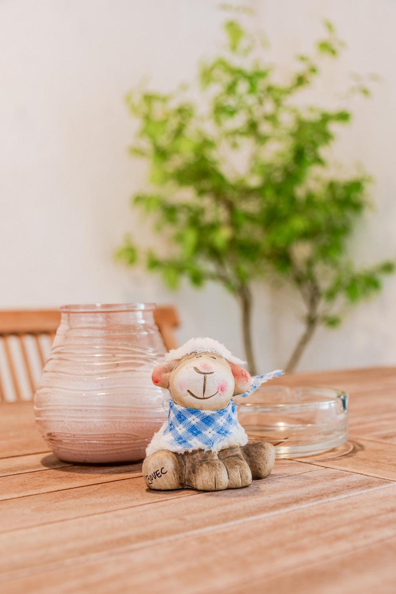 Apartmaji Mausi ボヴェツ エクステリア 写真